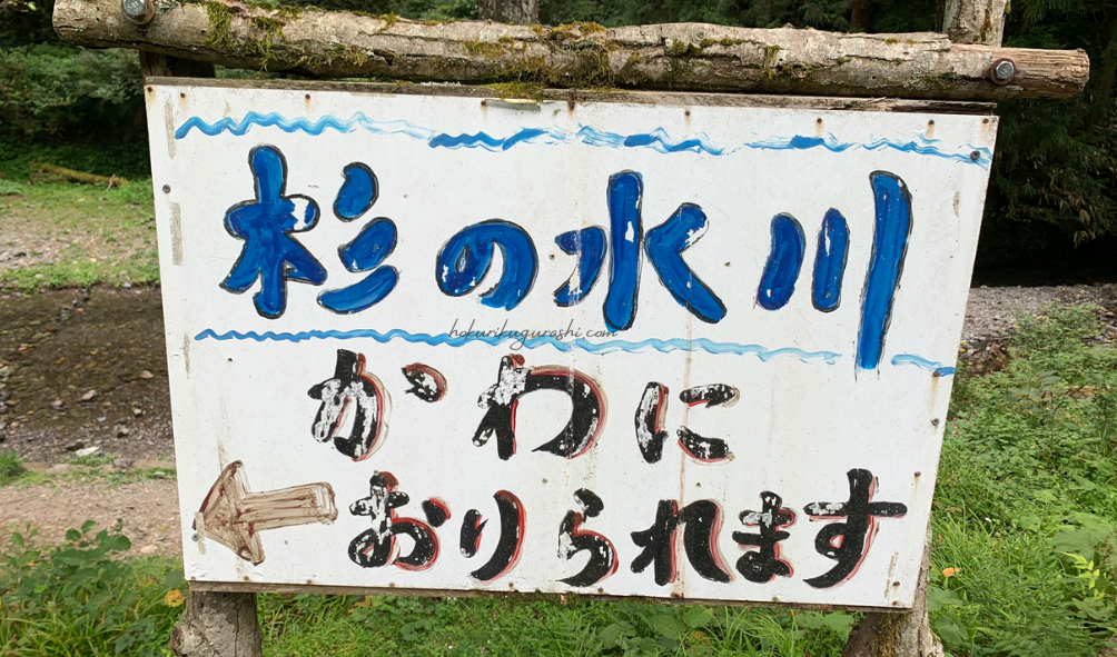 【県民の森に来たらまずはココ！】透明度バツグンの渓流で水遊び