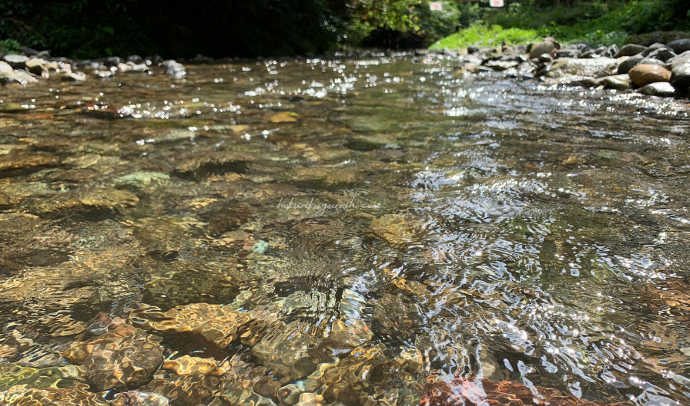 県民の森　渓流