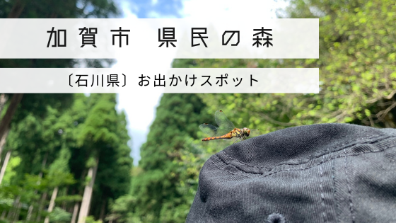 ２０２０年最新版 加賀の自然を満喫 県民の森 川遊びスポット Mynote石川 北陸暮らし